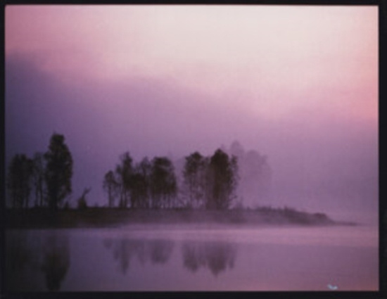 ESCUMERGAMENT - NI DEGU FAZENTZ ESCUMERGAMENT E MES