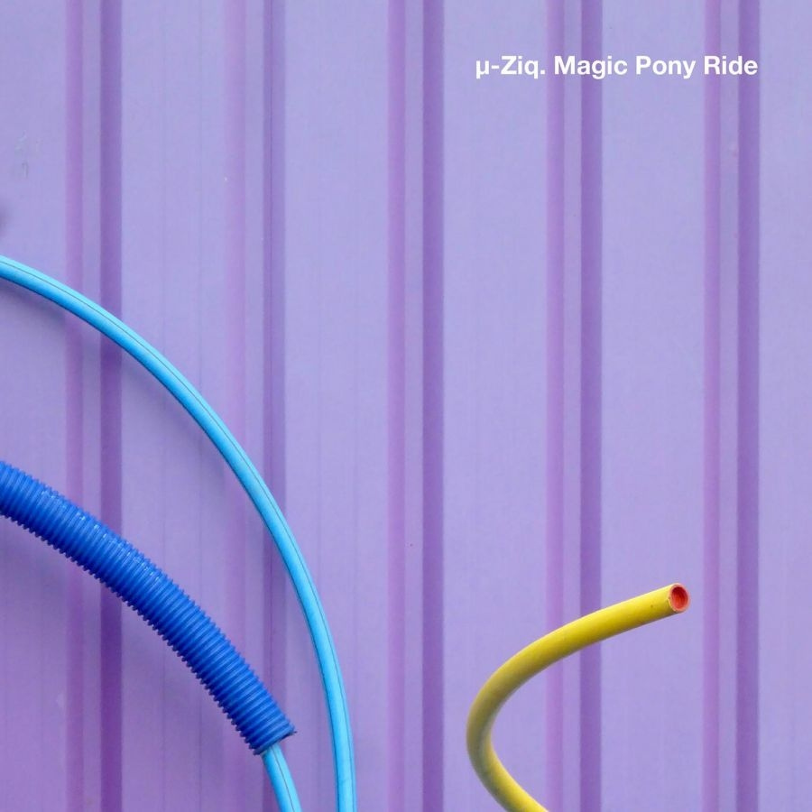 ?-Ziq - Magic Pony Ride (Purple Vinyl)