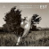 Various - Est Various - Est