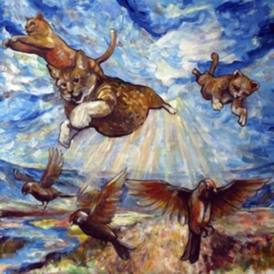 Have You Ever Seen The Jane Fonda A - Maine Coon