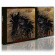 Protector - Urm The Mad (Slipcase) Protector - Urm The Mad (Slipcase)