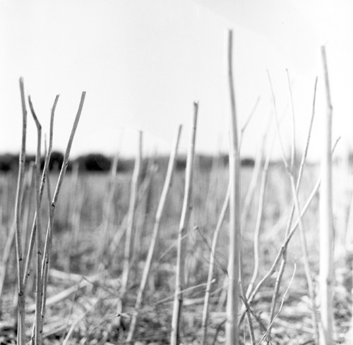 Recondite - On Acid (2022)