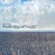 Cotton Jeff - Fantasy Of Reality The Cotton Jeff - Fantasy Of Reality The