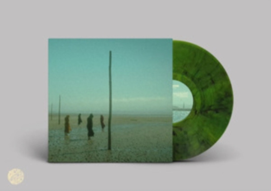 Devils Witches - In All Her Forms (Green/Black Marbl