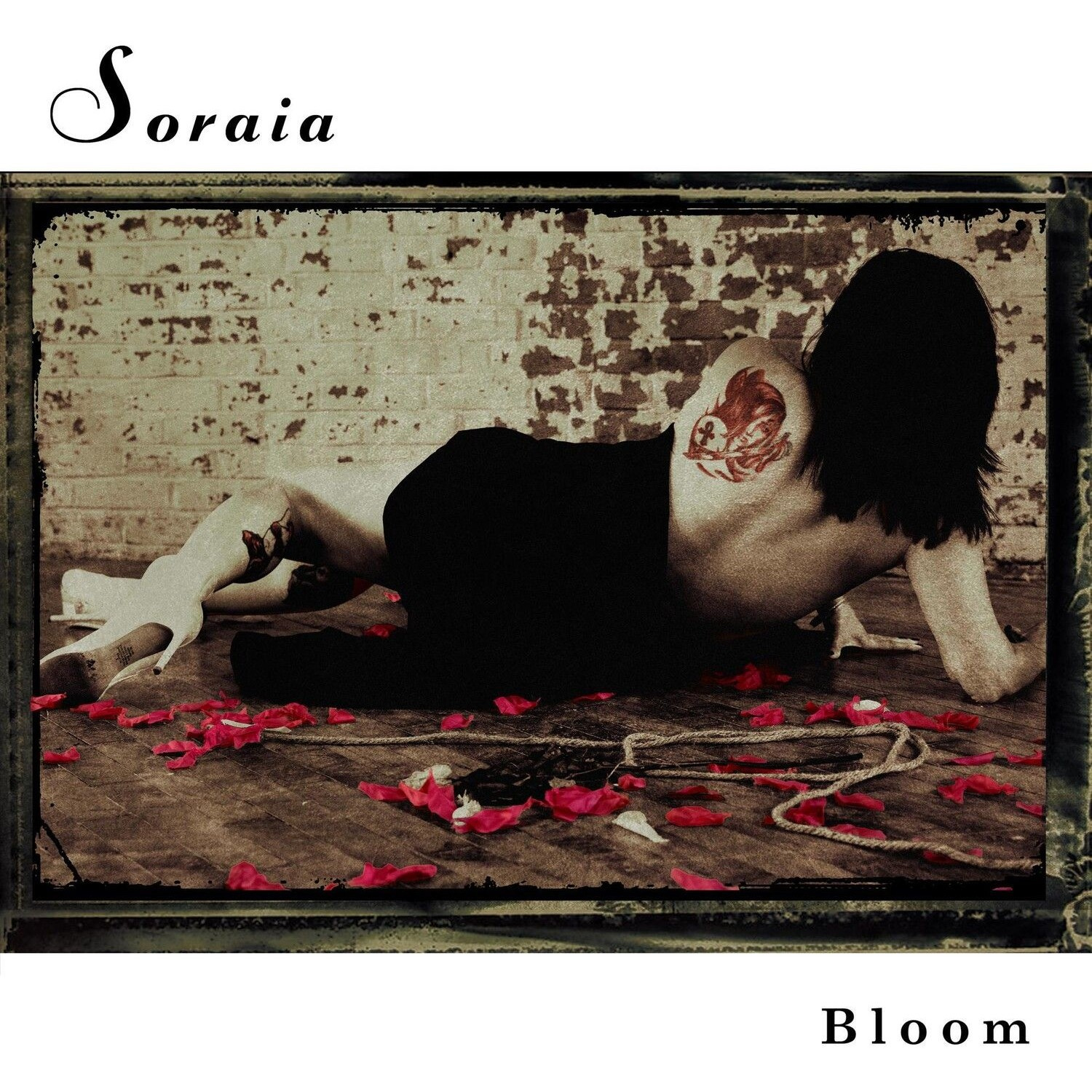 Soraia - Bloom