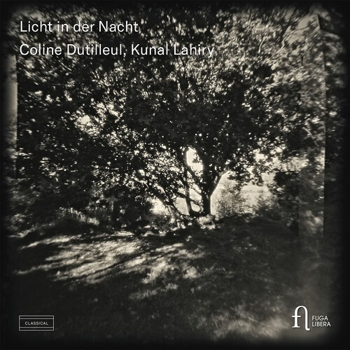 Various - Licht In Der Nacht