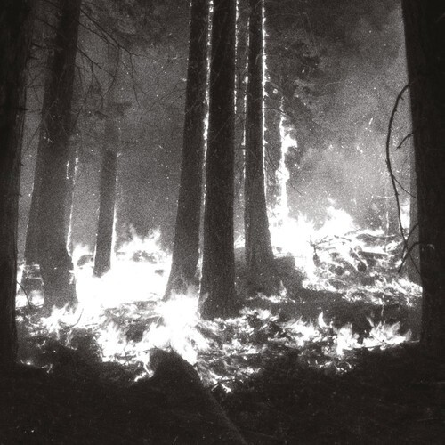 Den Sorte Dïd - Undergangen