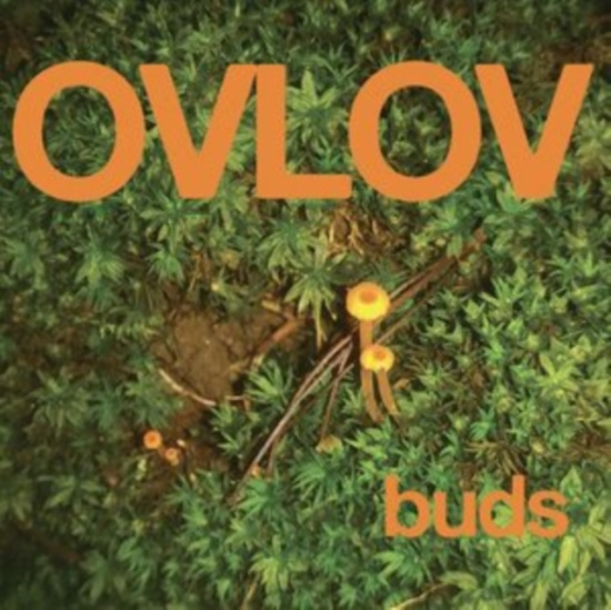 Ovlov - Buds (Indie Exclusive, Orange Vinyl
