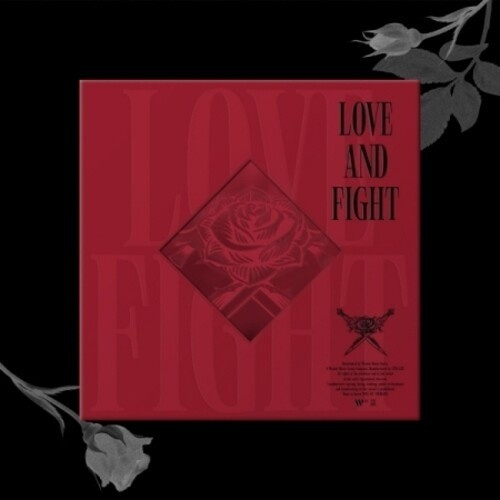 Ravi - Vol.2 (LOVE & FIGHT)