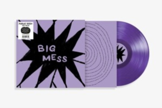 Public Body - Big Mess