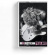 Machine Gun Kelly - Mainstream Sellout (MC) Machine Gun Kelly - Mainstream Sellout (MC)