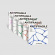 Le Sserafim - ANTIFRAGILE COMPACT Random Ver. Le Sserafim - ANTIFRAGILE COMPACT Random Ver.