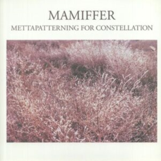 Mamiffer - Mettapatterning For Constellation