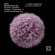 Fux Johann Joseph - La Corona D’Arianna Fux Johann Joseph - La Corona D’Arianna