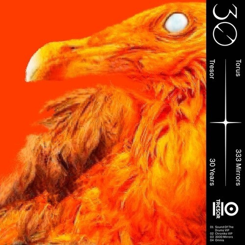 Torus - 333 Mirrors