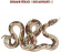 Benjamin Fröhlich - Rude Movements 2 Benjamin Fröhlich - Rude Movements 2