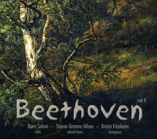Beethoven - Sonatas Vol Ii