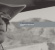 Brian Jonestown Massacre The - Bringing It All Back Home Again (Co Brian Jonestown Massacre The - Bringing It All Back Home Again (Co