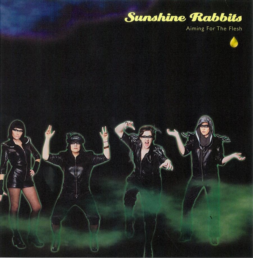 Sunshine Rabbits - Aiming For The Flesh