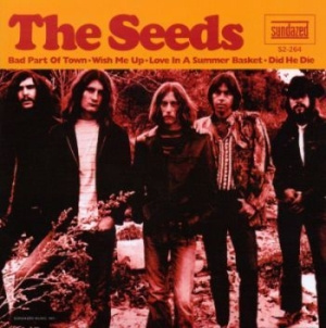 The Seeds - Bad Part Of Town (2X7)
