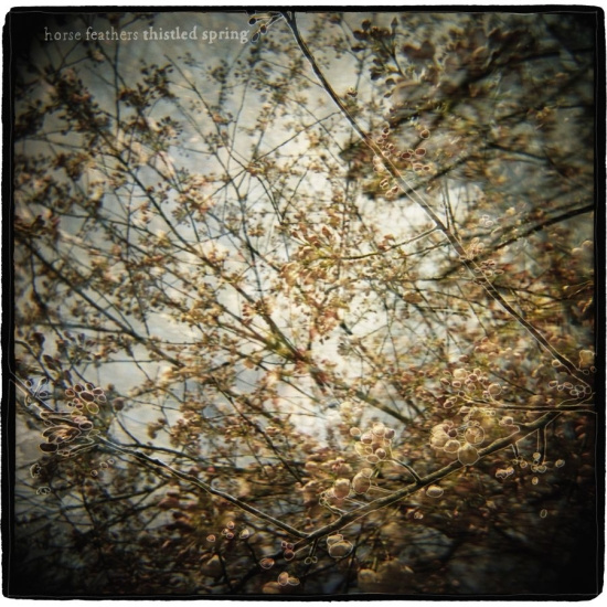 Horse Feathers - Thistled Spring Lp