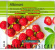 Albinoni - Six Sonatas For Flute And Continuo Albinoni - Six Sonatas For Flute And Continuo