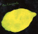 Raincoats - Extended Play Raincoats - Extended Play