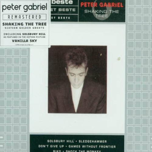 Peter Gabriel - Shaking The Tree