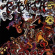 Rebirth Brass Band - We Come To Party Rebirth Brass Band - We Come To Party