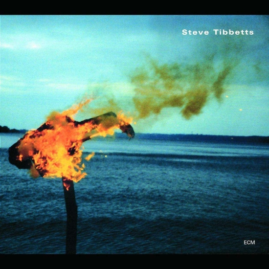 Tibbetts Steve - A Man About A Horse