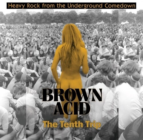 Various Artists - Brown Acid - The Tenth Trip