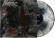 Phobophilic - Eveloping Absurdity (Cream/Black Ga Phobophilic - Eveloping Absurdity (Cream/Black Ga