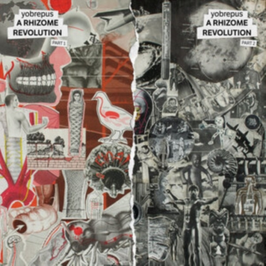 Yobrepus - A Rhizome Revolution Part 1