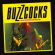 Buzzcocks - Live At The Shepherds Bush Empire ( Buzzcocks - Live At The Shepherds Bush Empire (