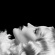 Daphne Guinness - Sleep Daphne Guinness - Sleep