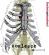 Coalesce - Functioning On Impatience Coalesce - Functioning On Impatience