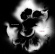 Hey Colossus - In Blood Hey Colossus - In Blood