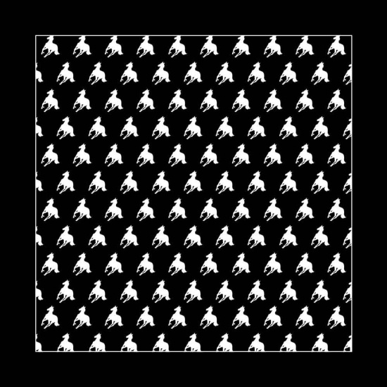 Deftones - White Pony Bandana