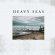 Heavy Seas - Distortion Days Heavy Seas - Distortion Days