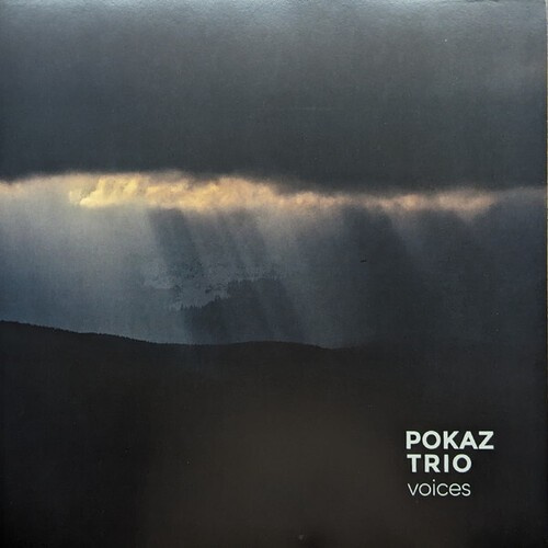 Pokaz Trio - Voices