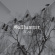 Gallhammer - End The (Vinyl Lp) Gallhammer - End The (Vinyl Lp)