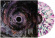 Fit For An Autopsy - The Nothing That Is Fit For An Autopsy - The Nothing That Is