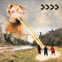Beak> - >>>>