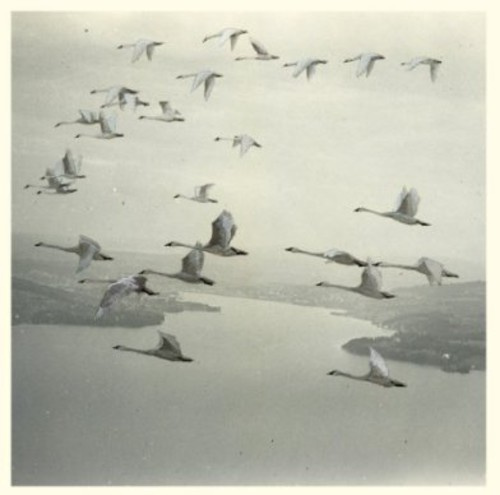 Snow Ghosts - And The World Was Gone