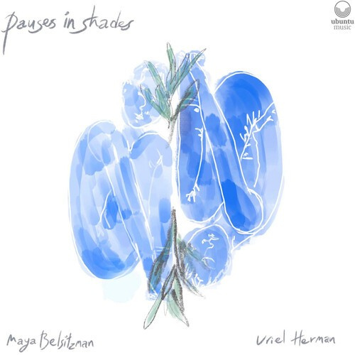 Belsitzman Maya & Uriel Herman - Pauses In Shades