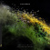 Tinlicker - This Is Not Our Universe Tinlicker - This Is Not Our Universe