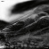 Groza - Nadir (Digipack) Groza - Nadir (Digipack)