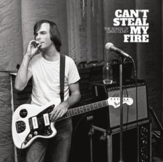Various Artists - Can't Steal My Fire: The Songs Of D