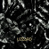 Lizzard - Mesh (Vinyl Lp) Lizzard - Mesh (Vinyl Lp)