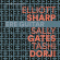 Elliott Sharp Sally Gates Tashi D - Ere Guitar Elliott Sharp Sally Gates Tashi D - Ere Guitar